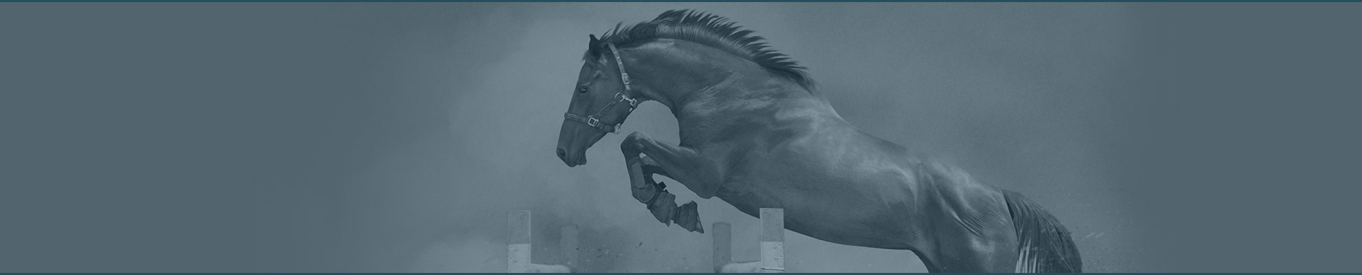 accueil_WINBAK-Equine_header_2