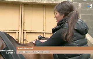 reportage france 3 vivh